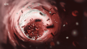 enzymes-02
