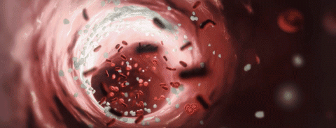 enzymes-02